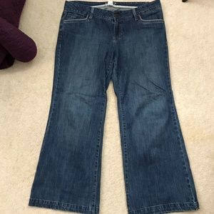 Petite Bootcut Jeans